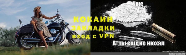 мдпв Новозыбков