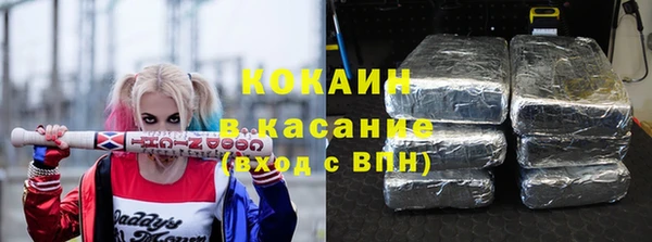 мдпв Новозыбков