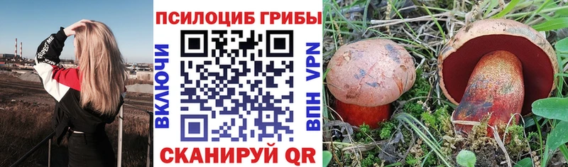 Псилоцибиновые грибы мухоморы  купить закладку  Энем 